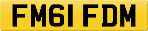 FM61FDM